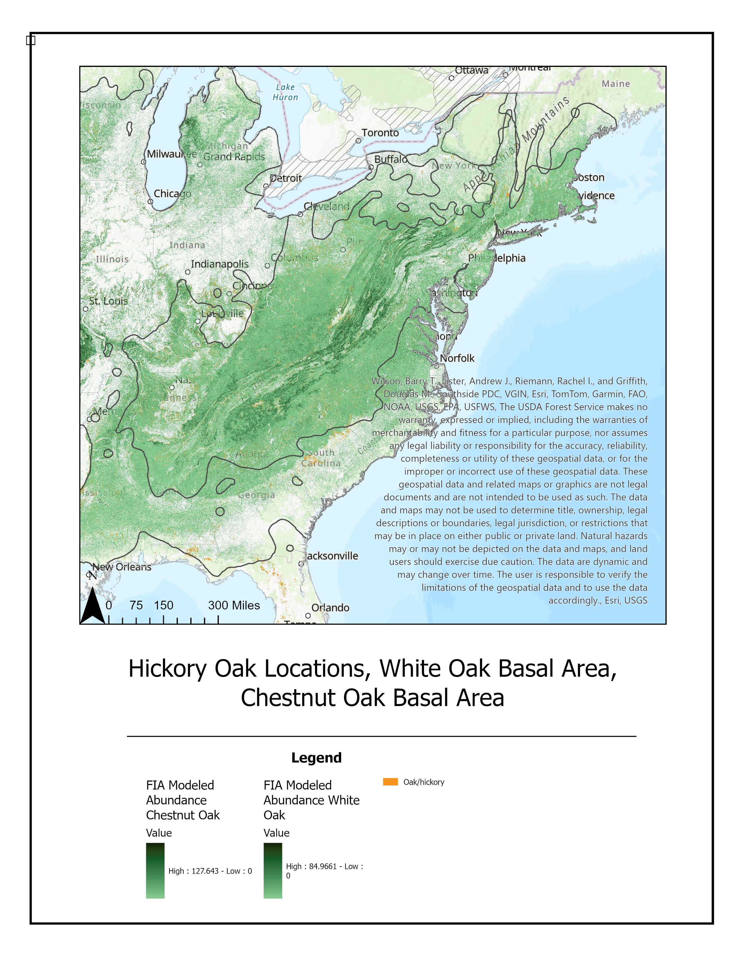 Understanding Beech Leaf Disease